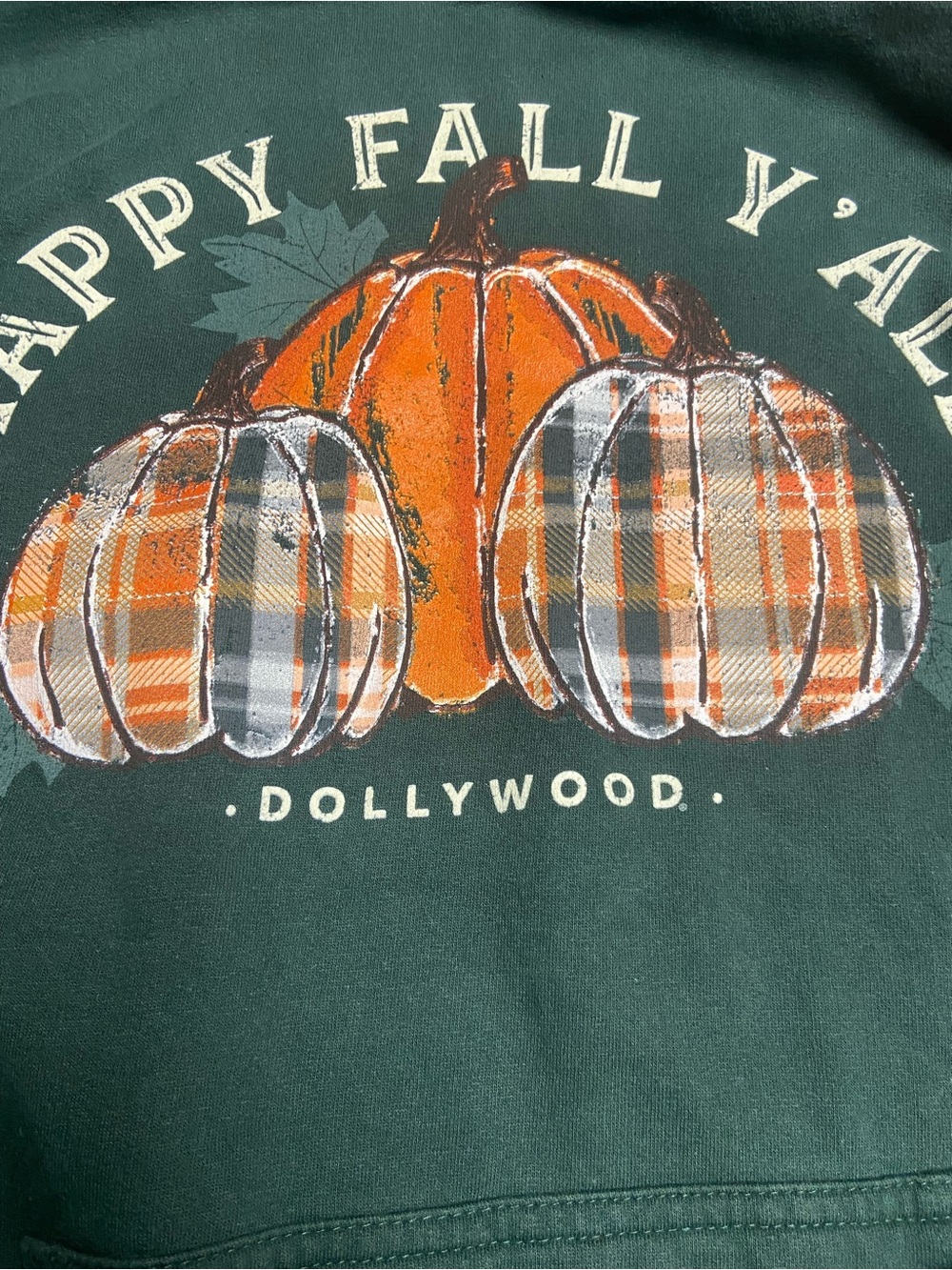Dollywood Fall Sweatshirt - Picture 3 of 8